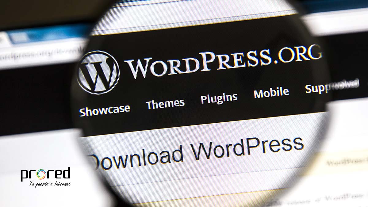 Cómo proteger Wordpress: las 20 reglas de oro